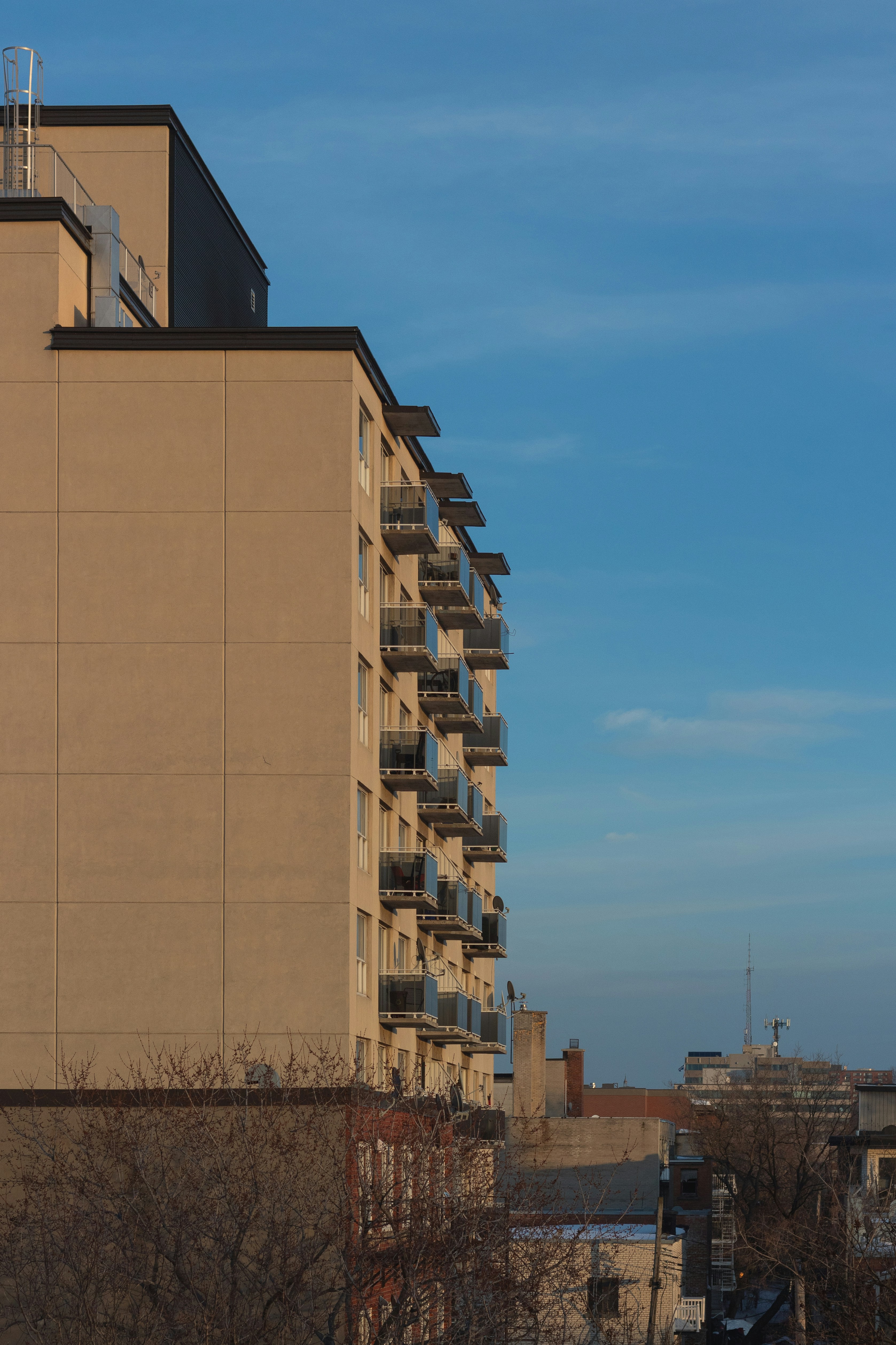 Photo by jacobboavista