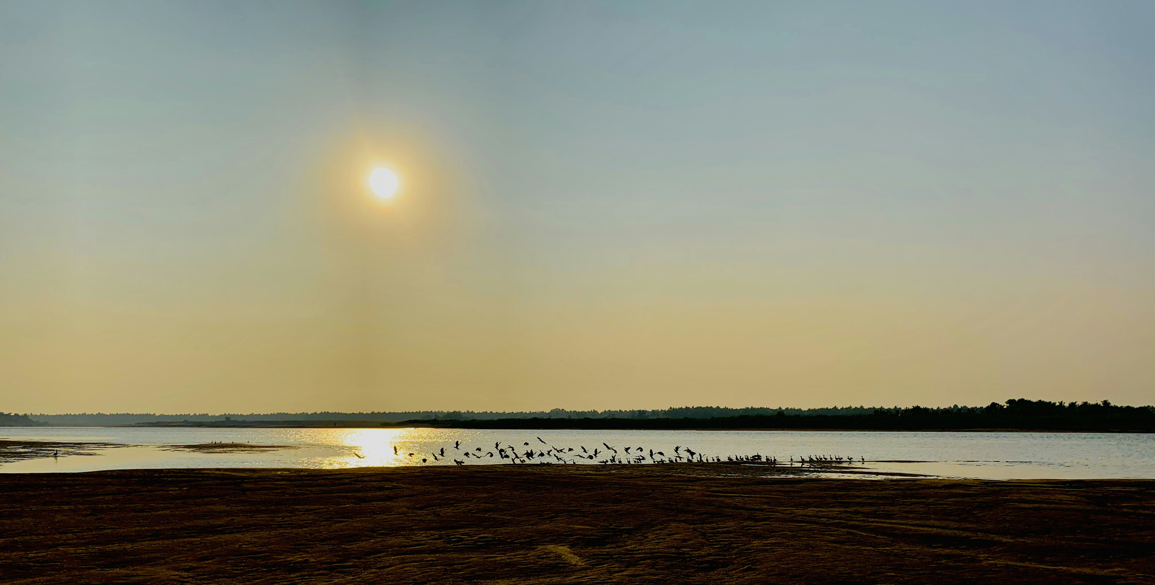 Photo by subhashnusetti