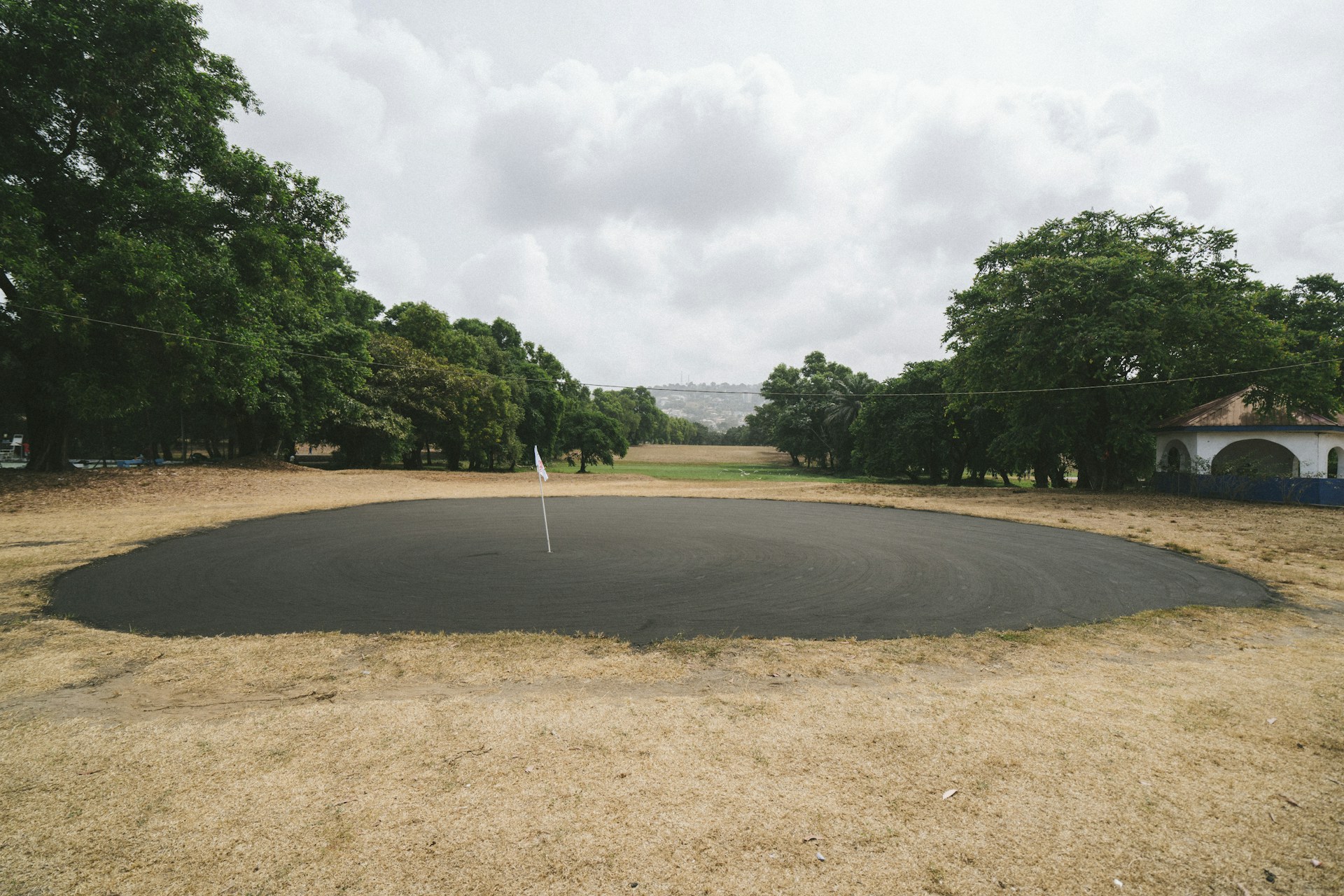 green trees and brown field under white clouds and blue sky during daytime