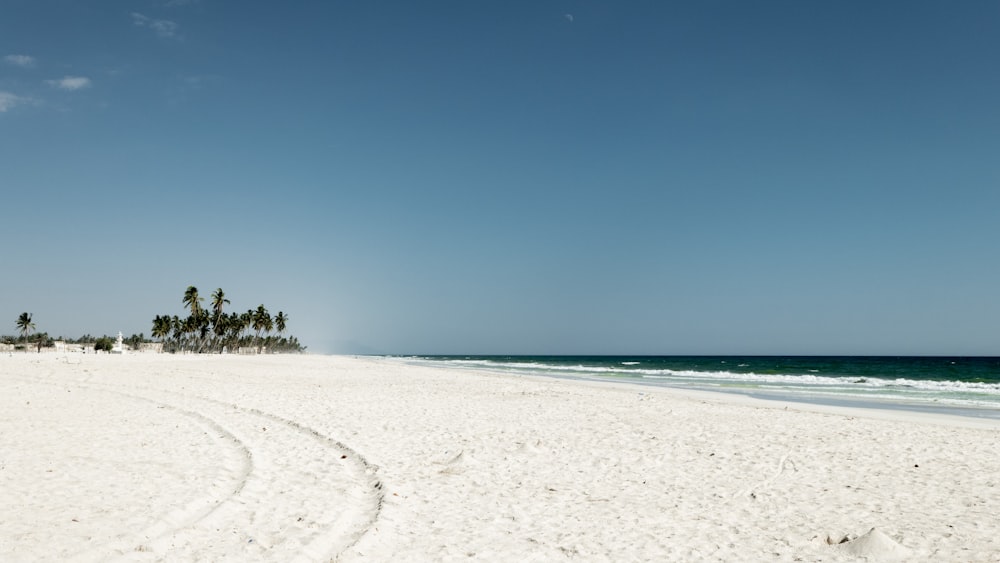 white sand beach during daytime