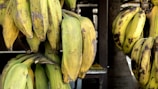 Close-up of fresh green plantains ready for frying on a rustic wooden table
