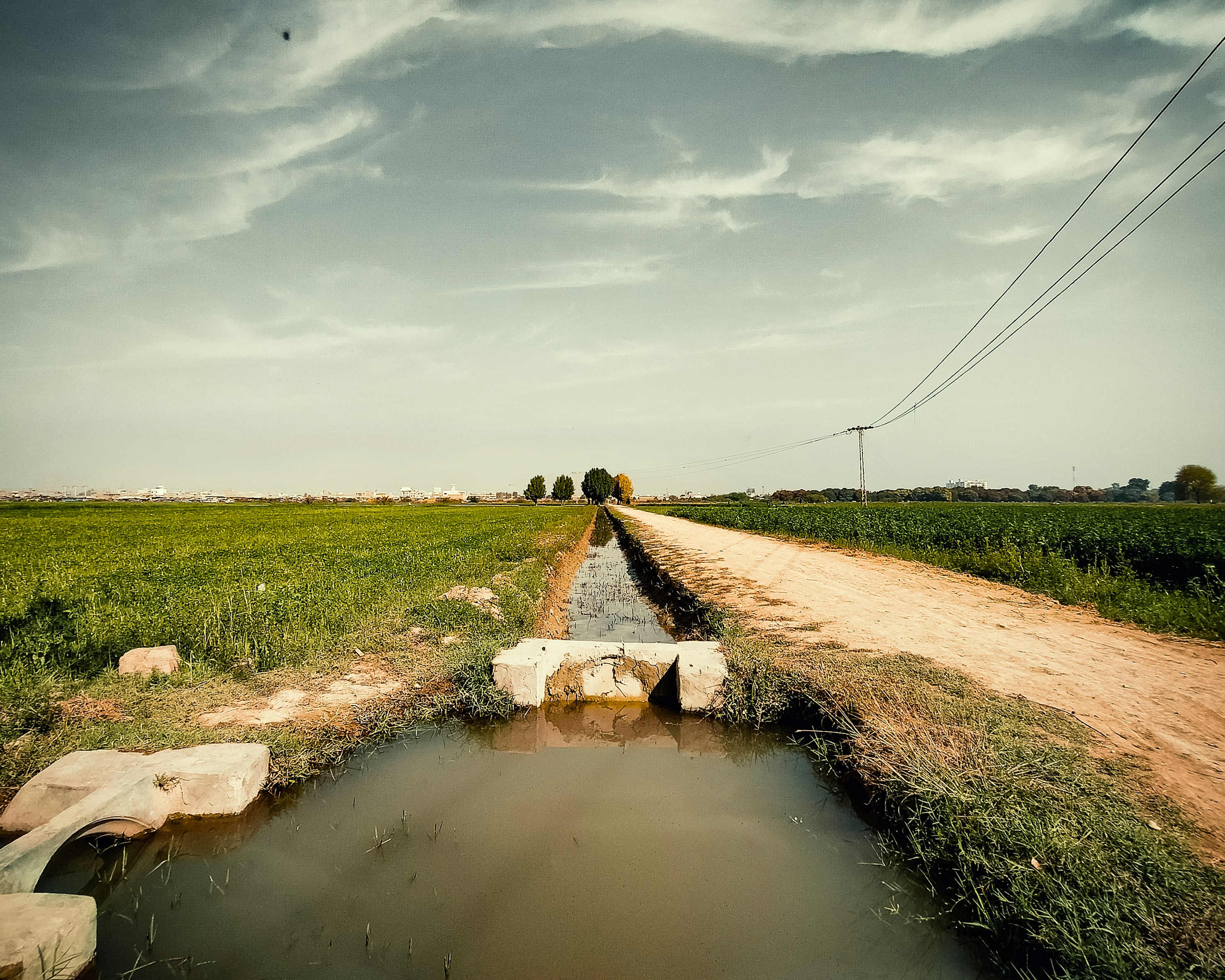 Photo by shessafridi