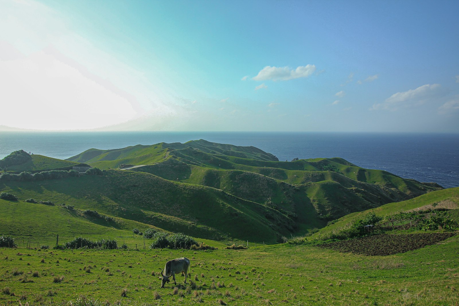 The Best Time to Visit the Philippines: A Month-by-Month Guide