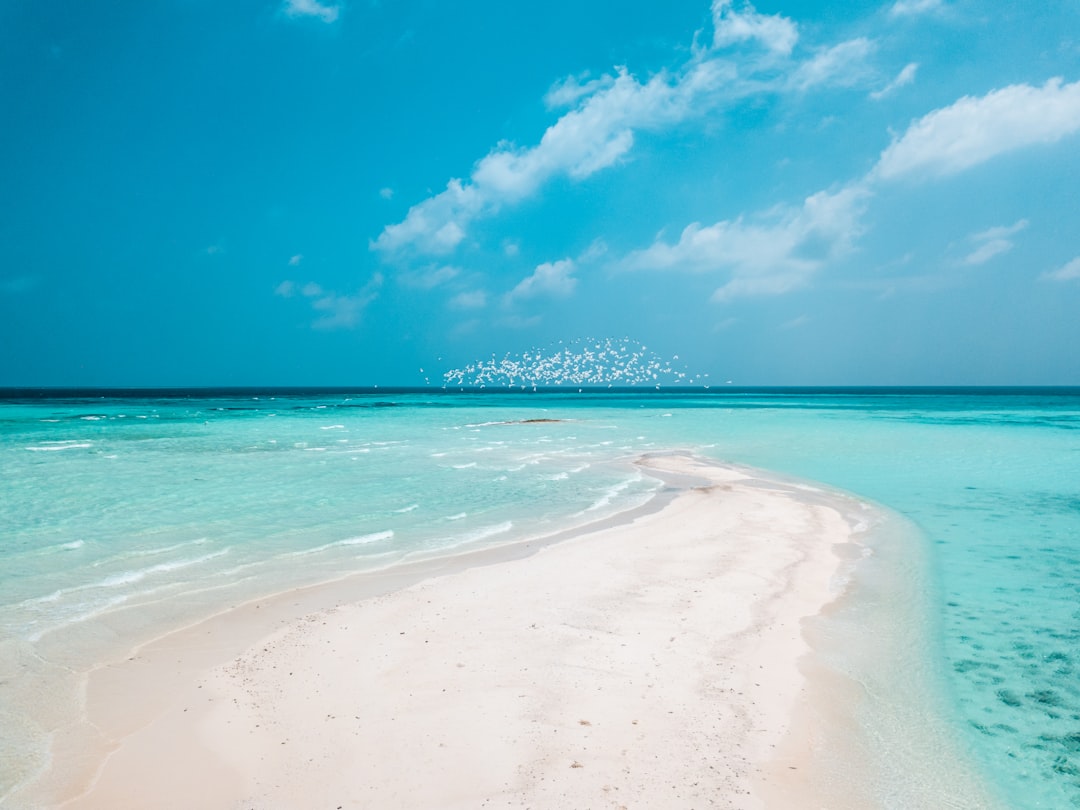 white sand beach under blue sky during daytime