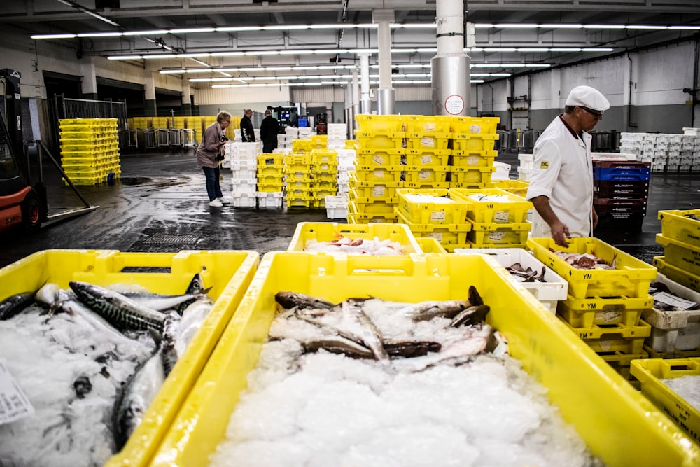 Indonesian aquaculture startup eFishery nets $200M in its Series D post image