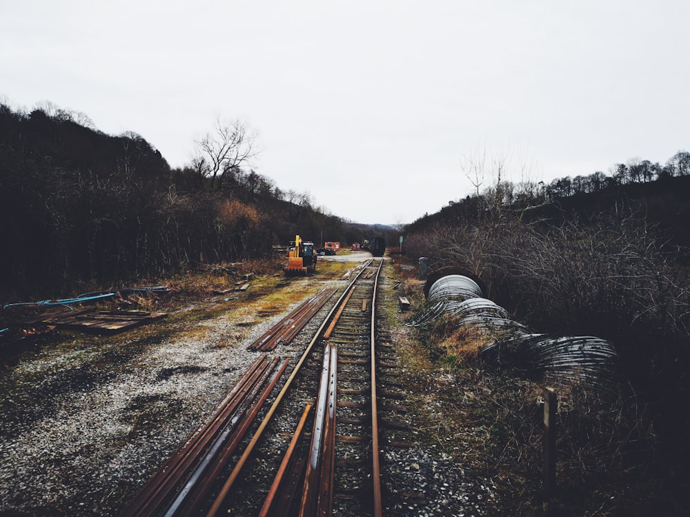 train rail in between bare trees during daytime