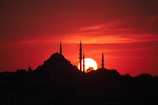 silhouette of trees during sunset in Sultan Ahmed Mosque Turkey