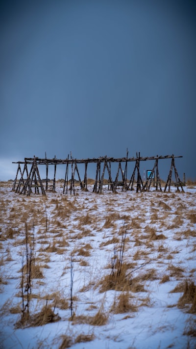 brown wooden fence on white snow covered ground