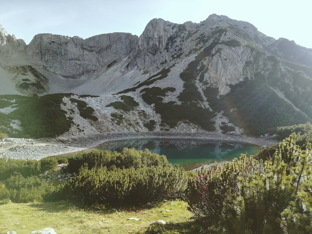 Watercourse photo spot Pirin Rila