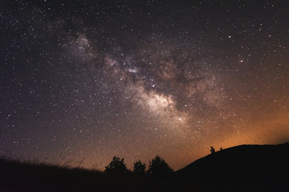 silhouette of trees under starry night