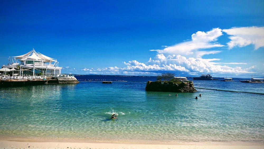 昼間の海にいる人々