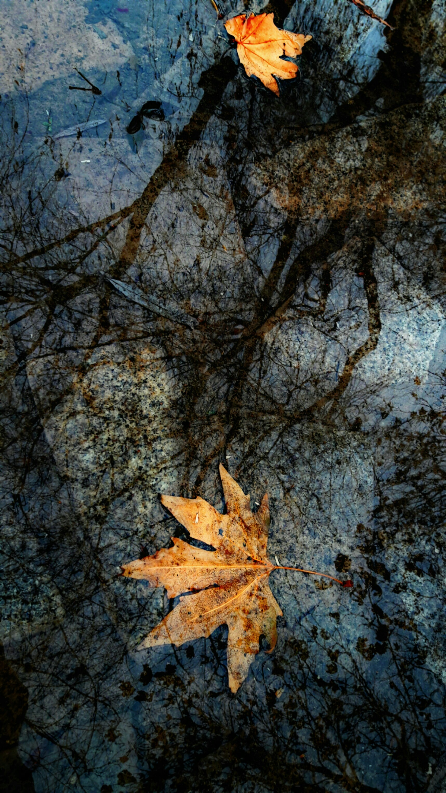 Photo by akoabdi