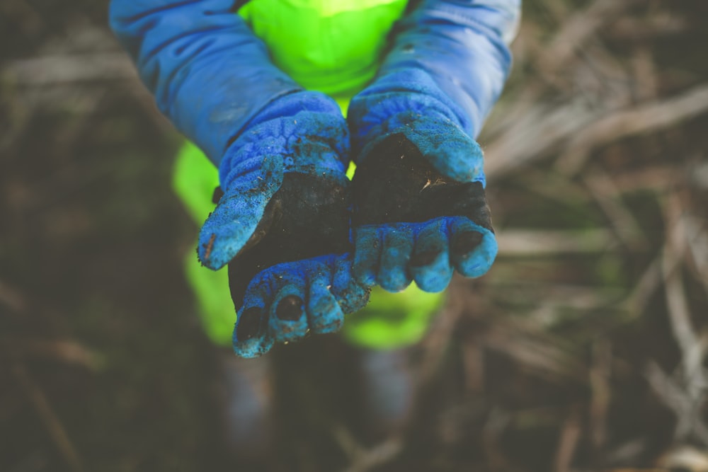 Decorazioni a forma di cuore blu e verde