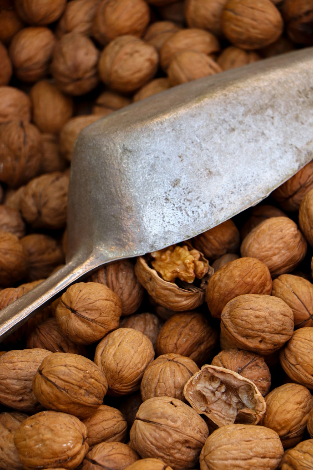 brown nuts on stainless steel spoon