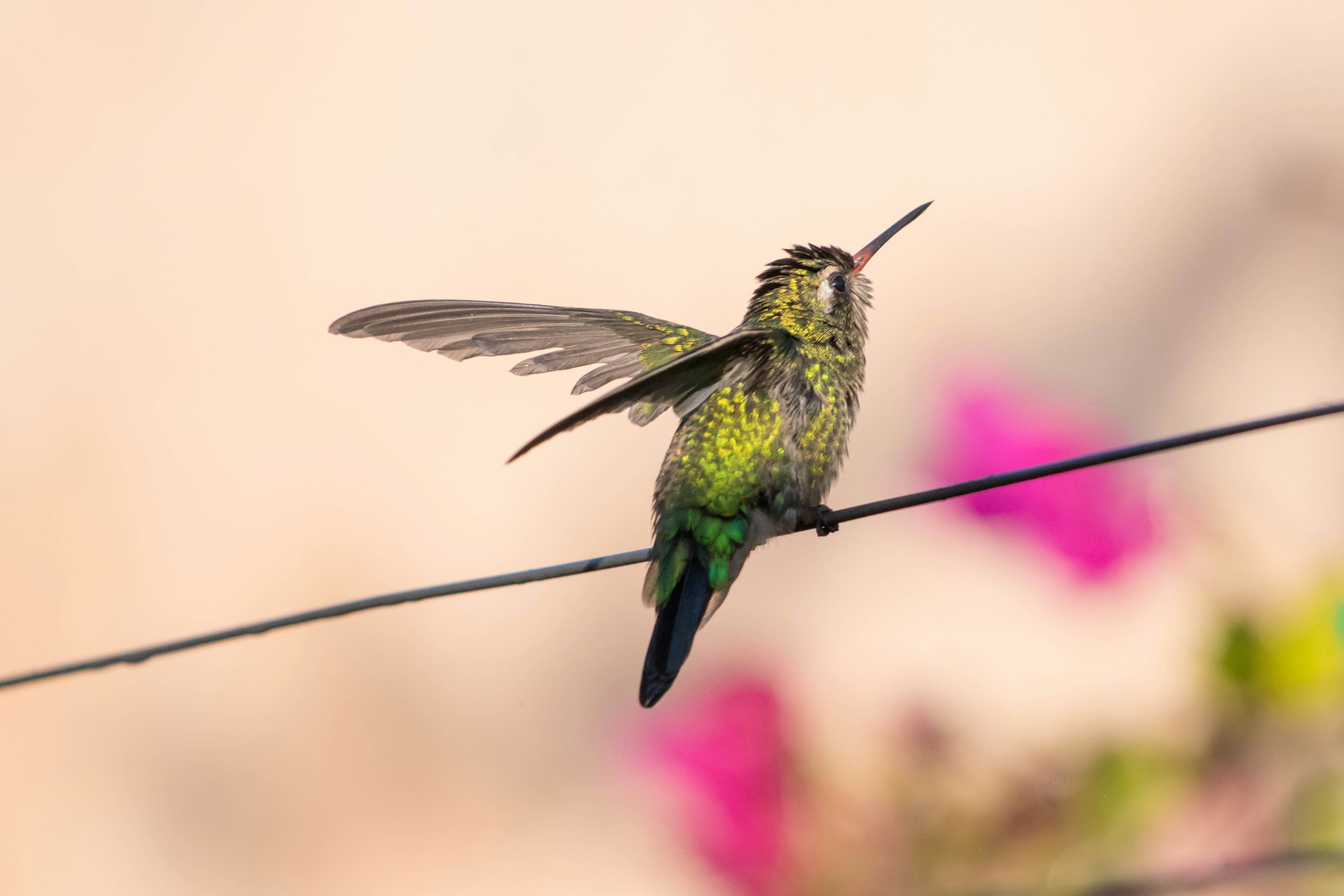 Photo by sonianadales