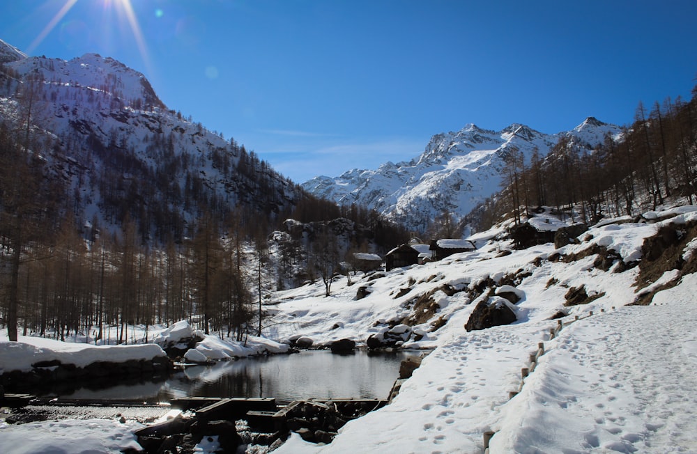 montagna e alberi innevati durante il giorno