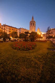 Evening shot of a medical facility’s grounds showcasing tidy flower arrangements and trimmed shrubs