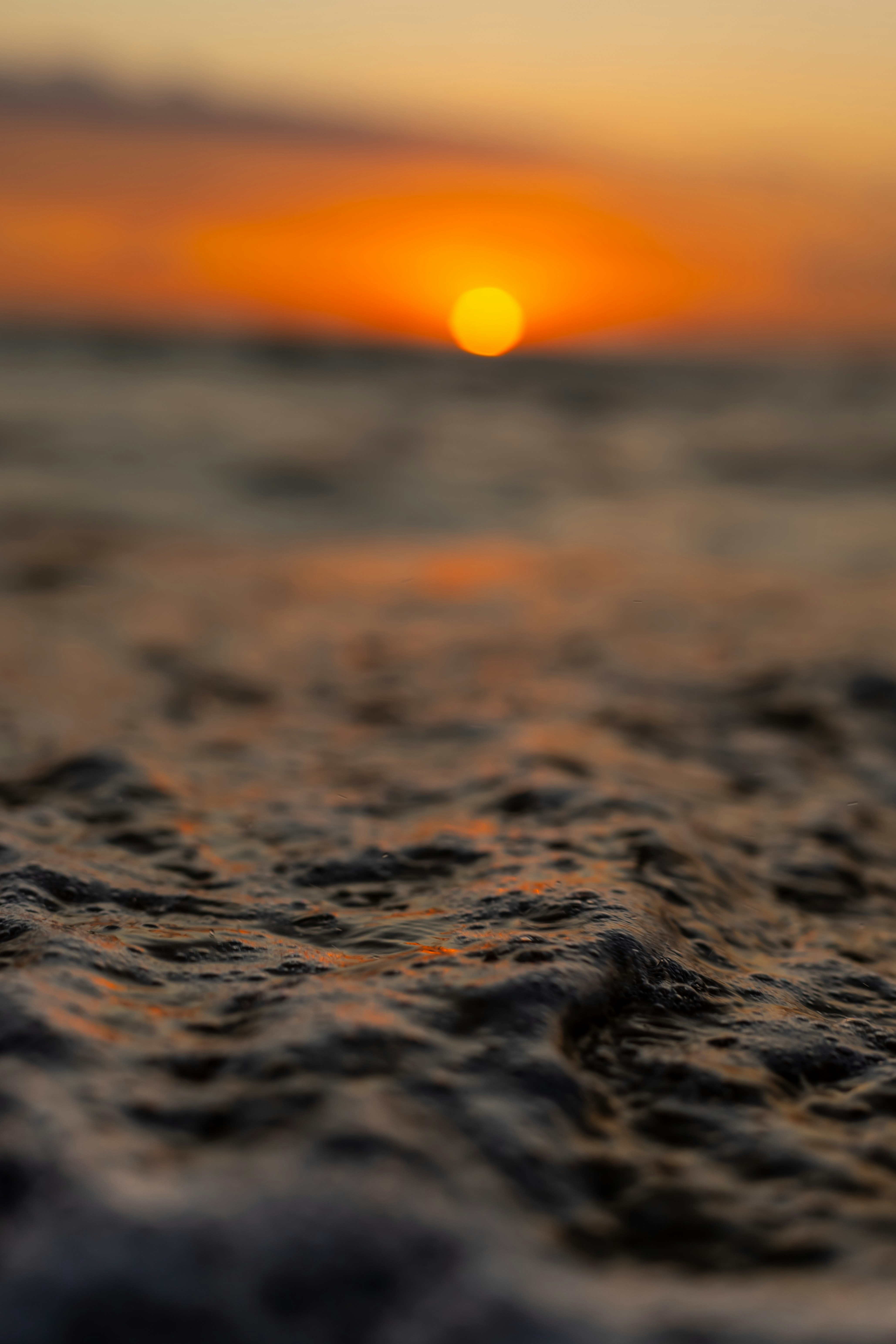 Photo by mitchel3uo