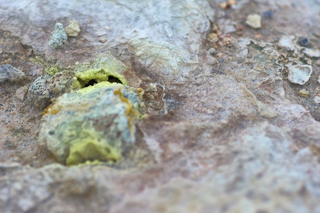 brown and white stone fragment