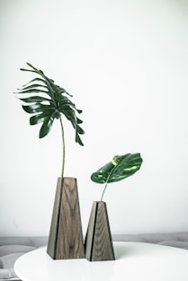green leaves on brown wooden plank