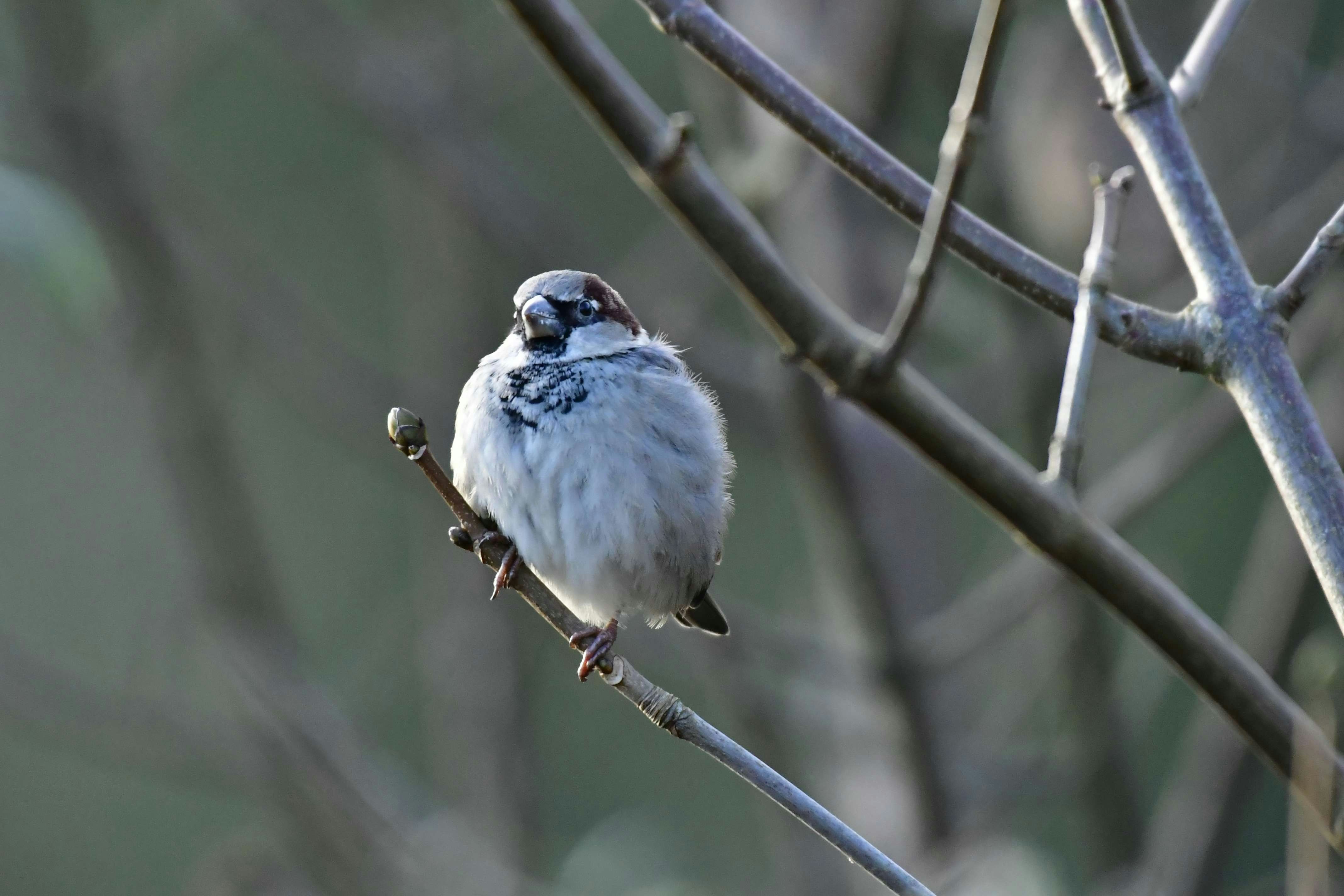 Photo by robyourduck