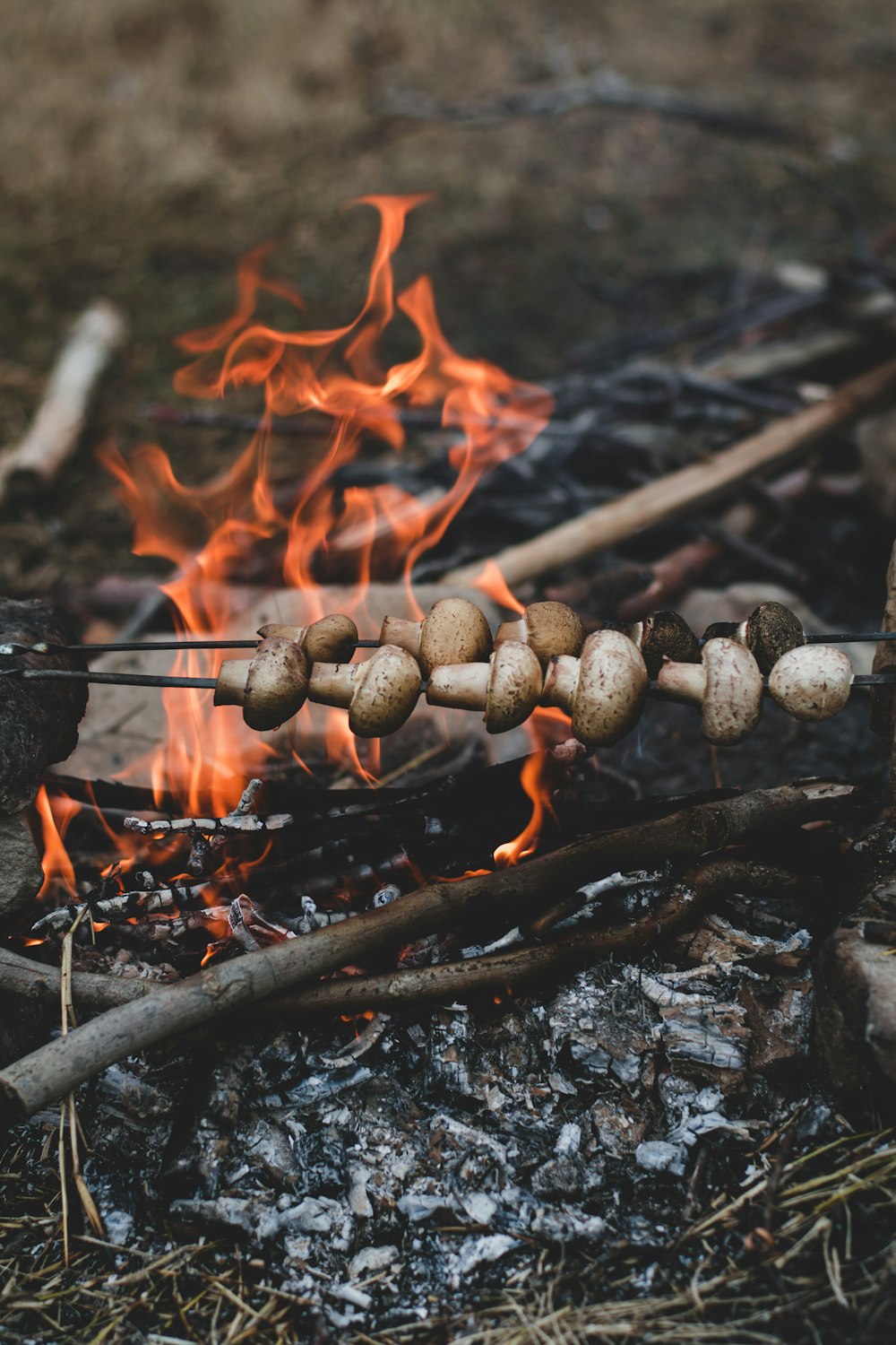 brown mushrooms on fire during daytime