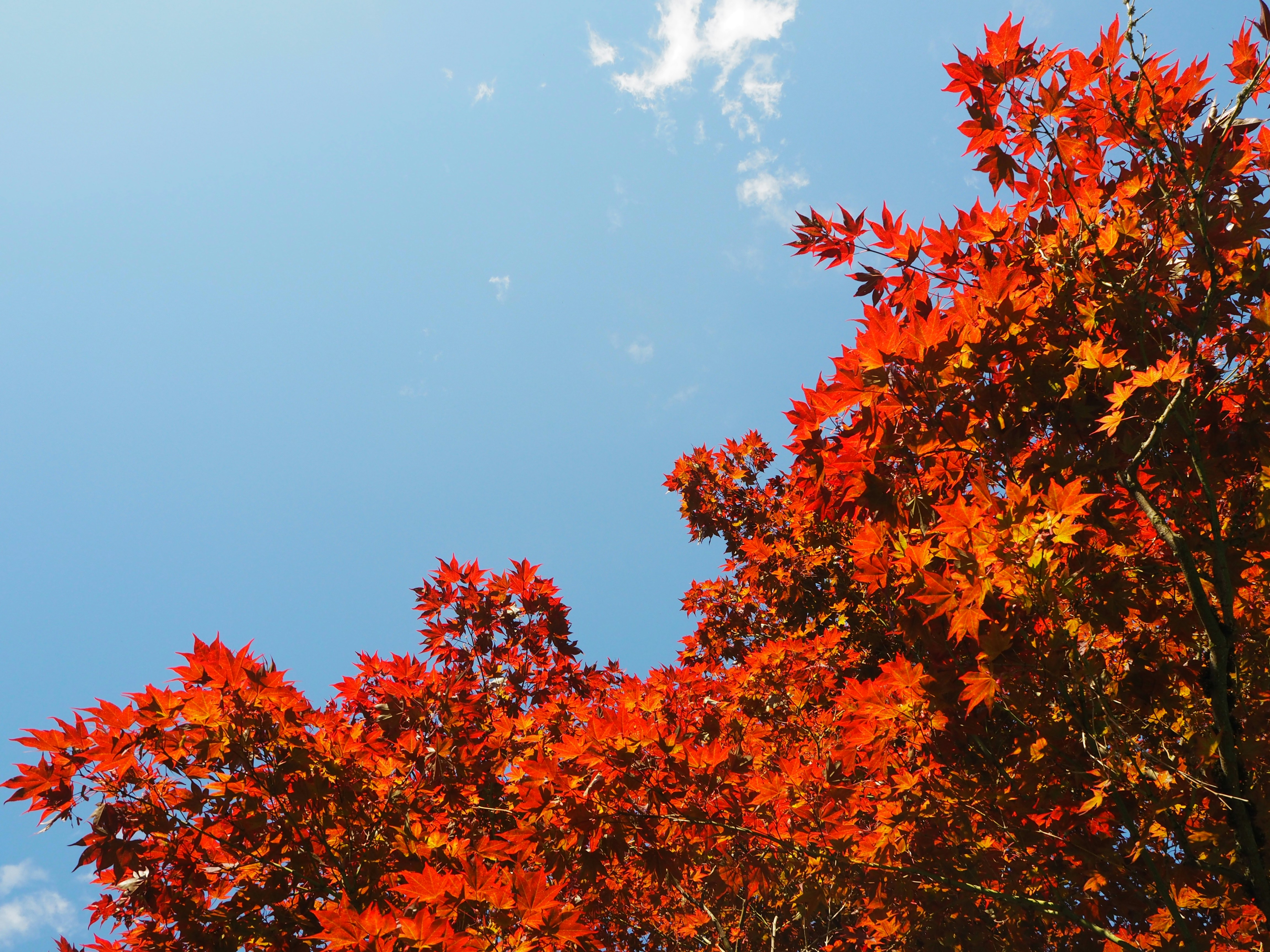 Photo by mrafonso1976