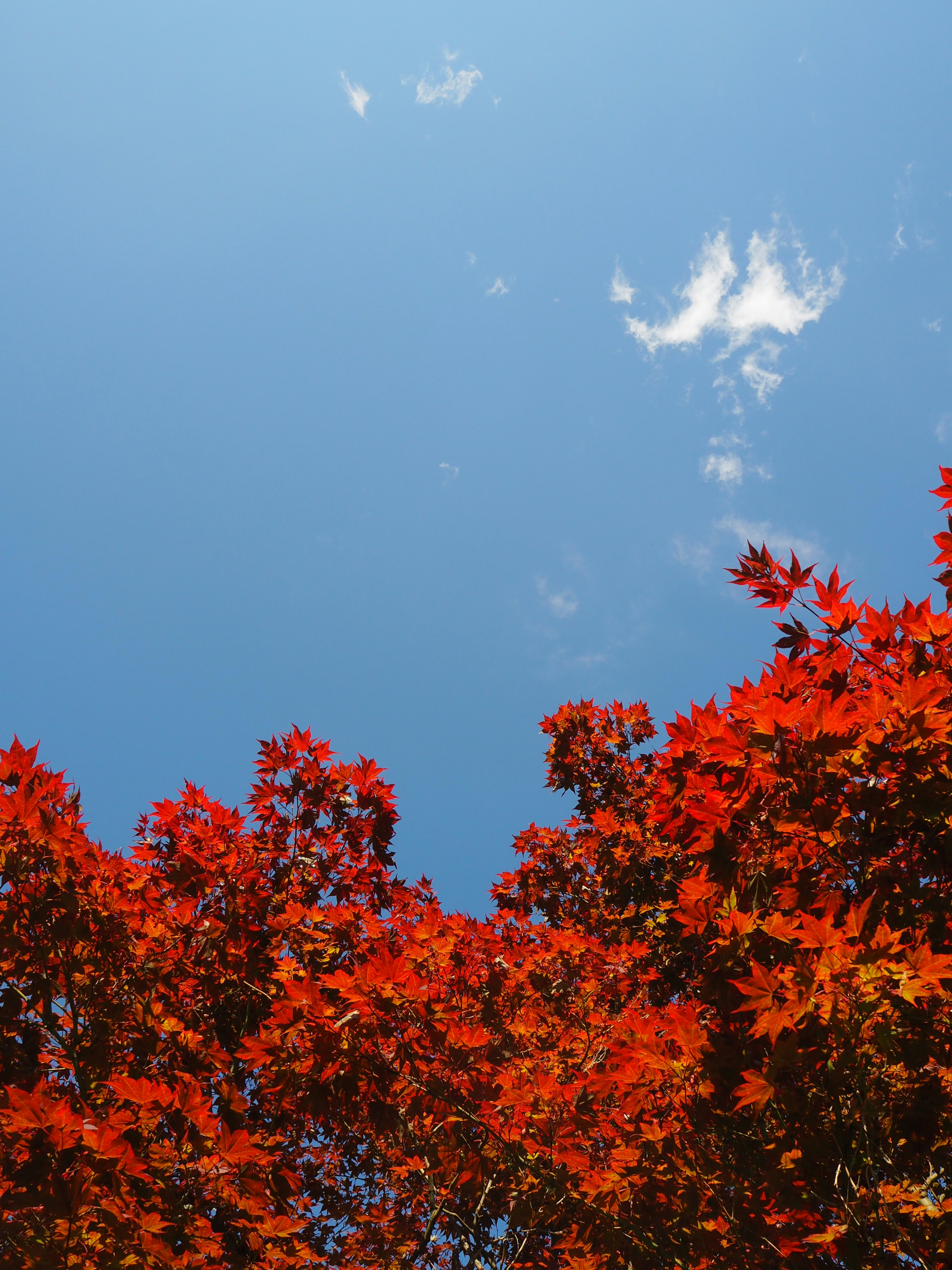 Photo by mrafonso1976