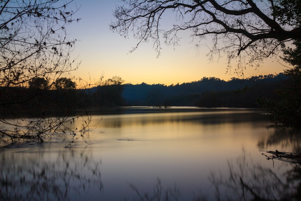 corpo d'acqua vicino agli alberi durante il tramonto