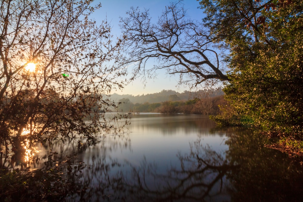 body of water near trees during daytime