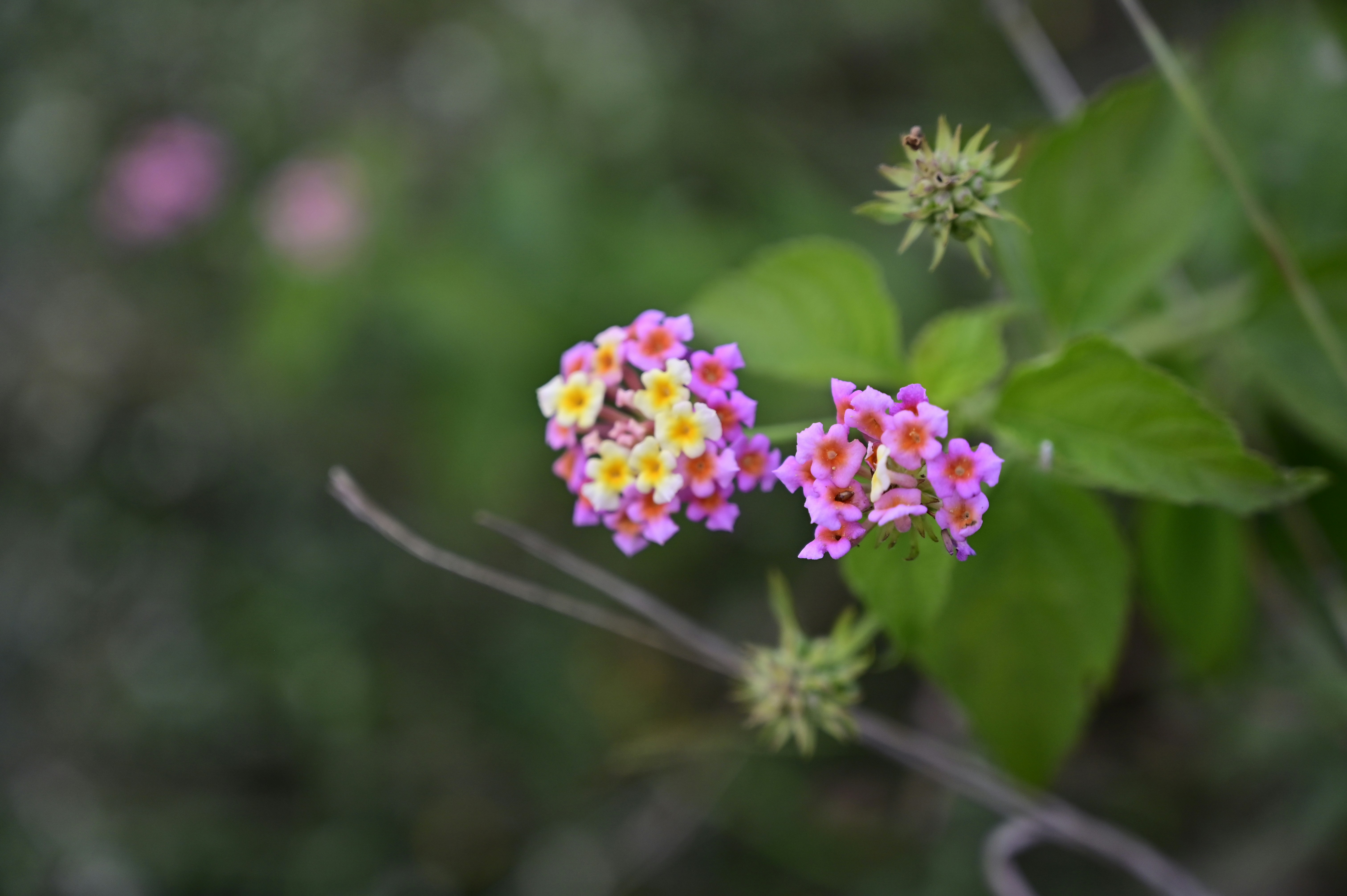 Photo by rrajputphotography