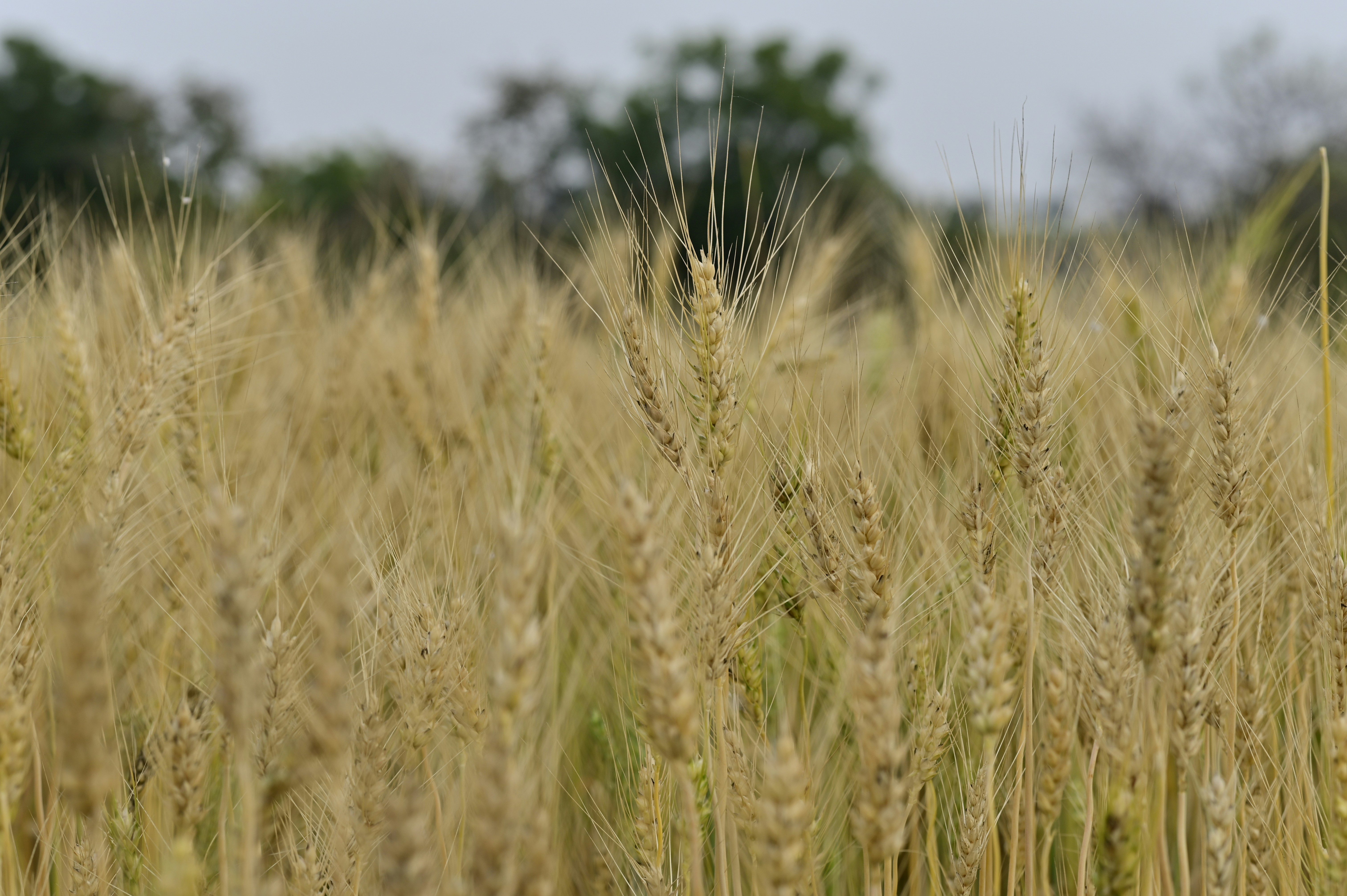 Photo by rrajputphotography