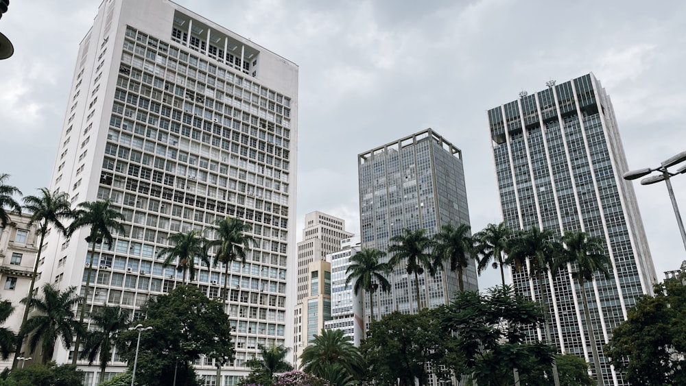 green trees near white concrete building during daytime