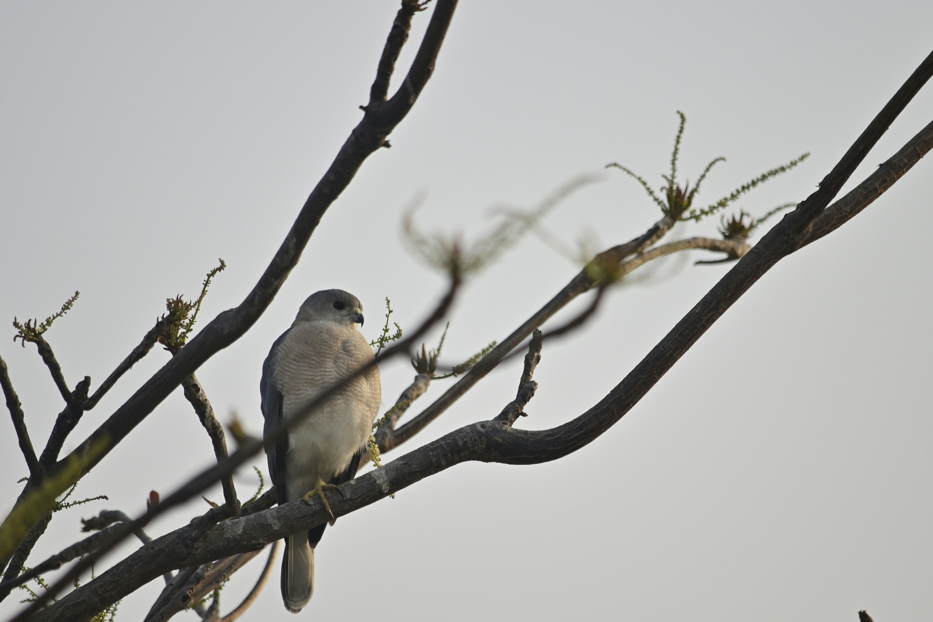 Photo by rrajputphotography