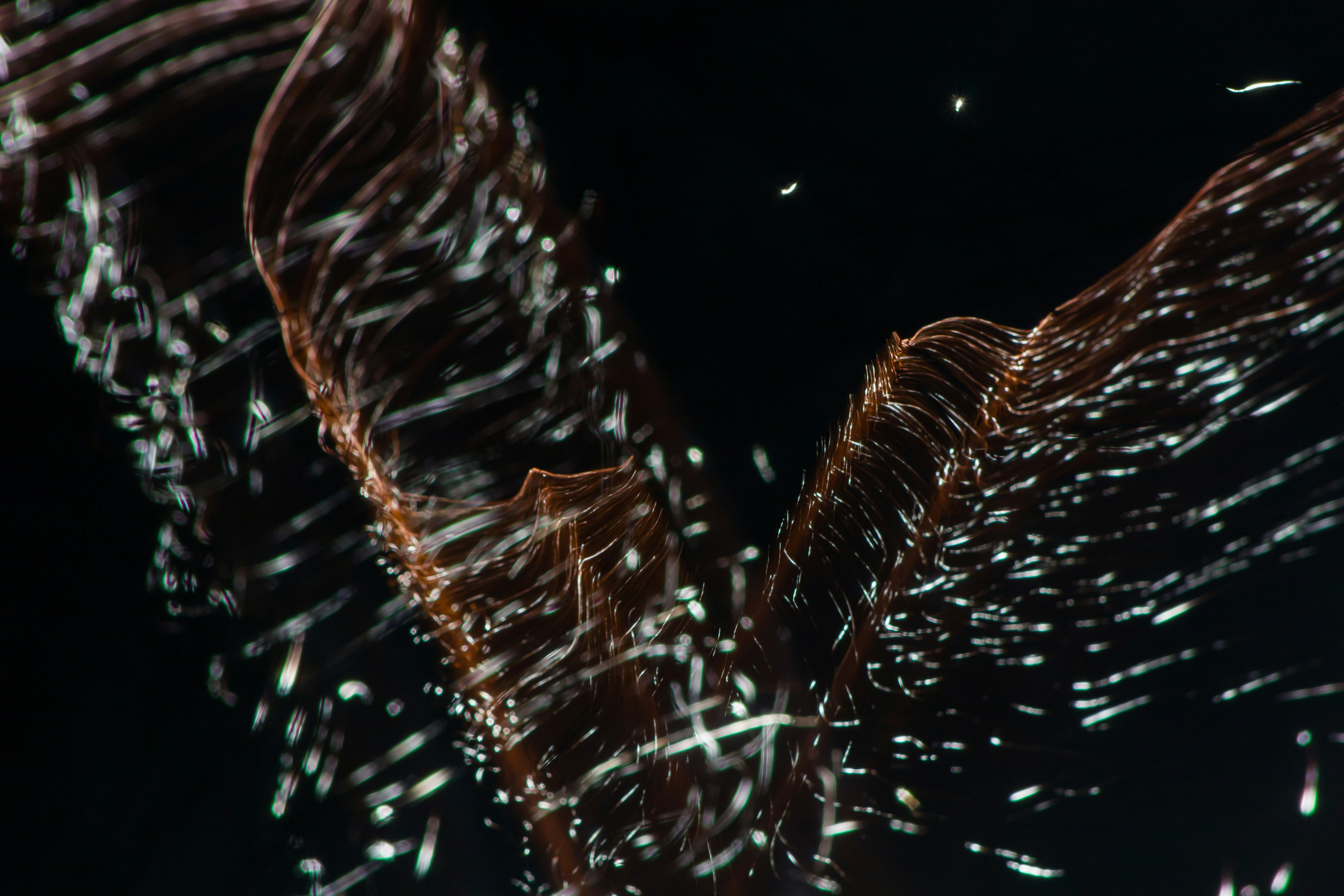 Photo by levi_midnight