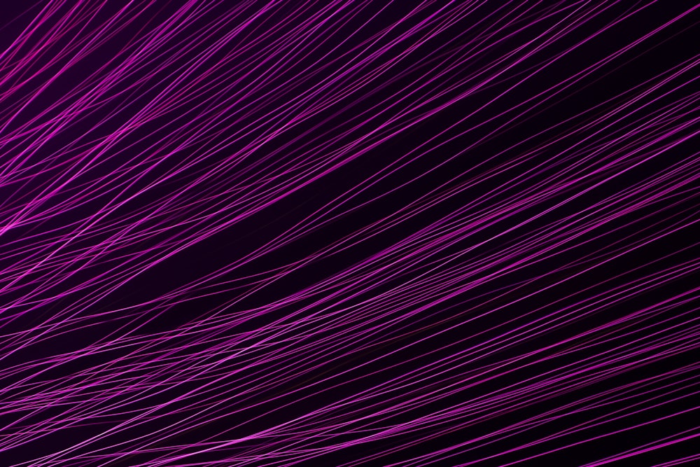 purple and white light digital wallpaper