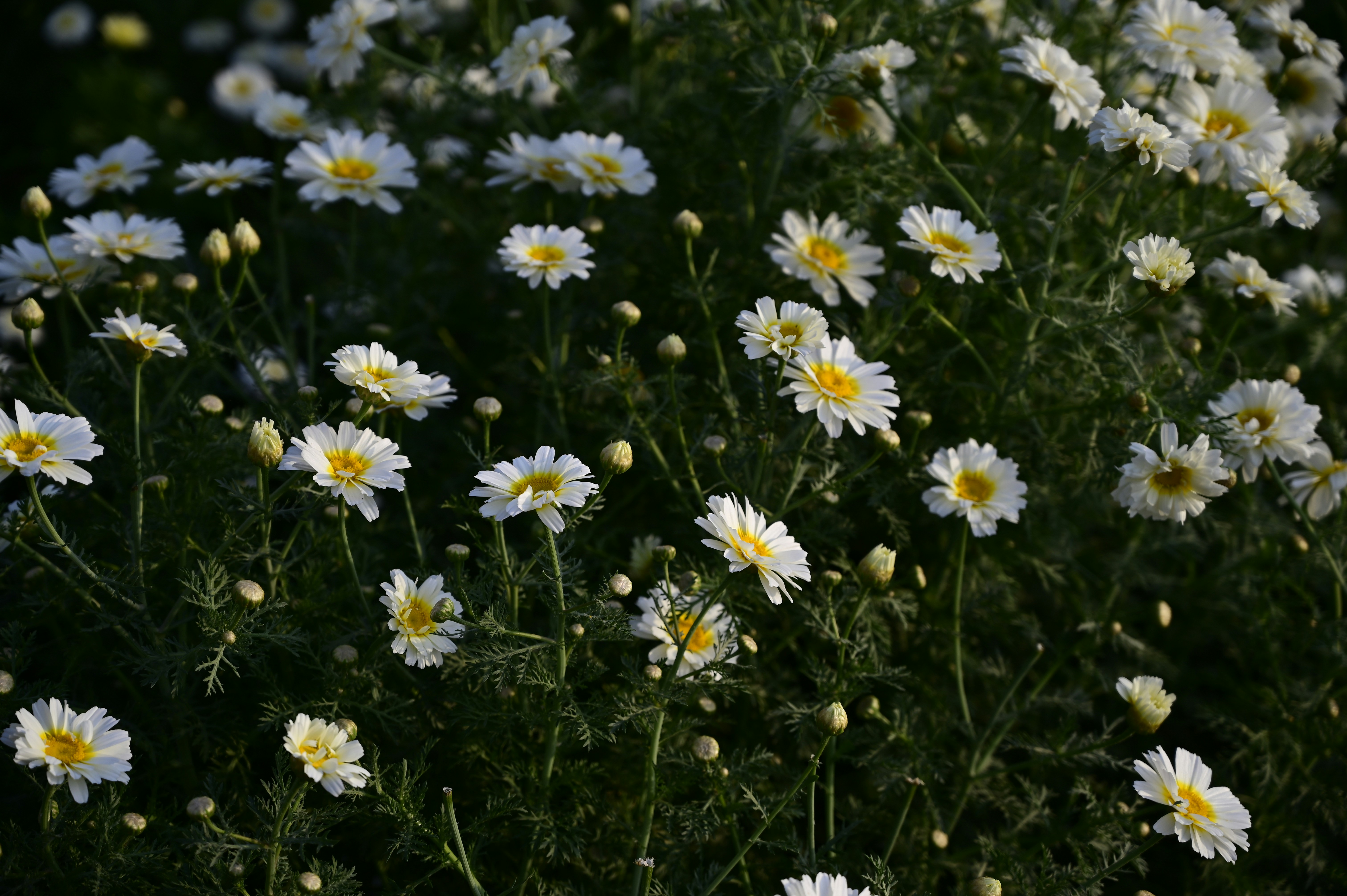 Photo by rrajputphotography