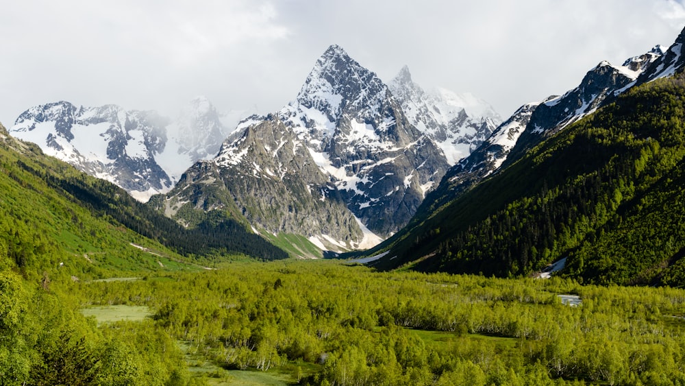 snow covered mountain during daytime