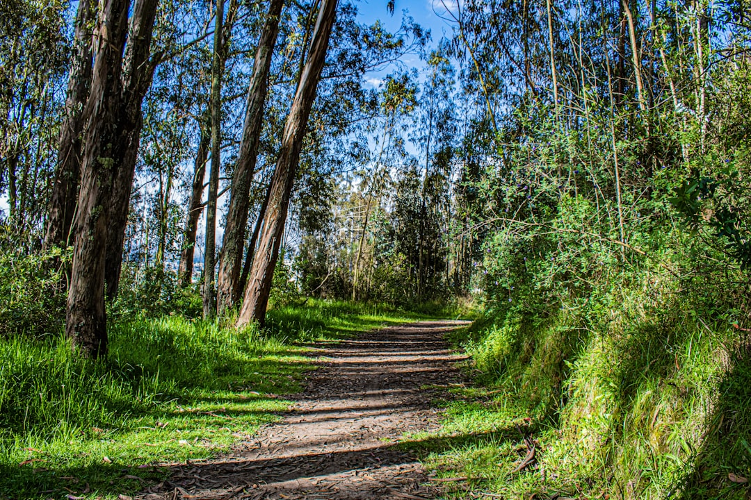 Travel Tips and Stories of Parque Metropolitano de Quito in Ecuador