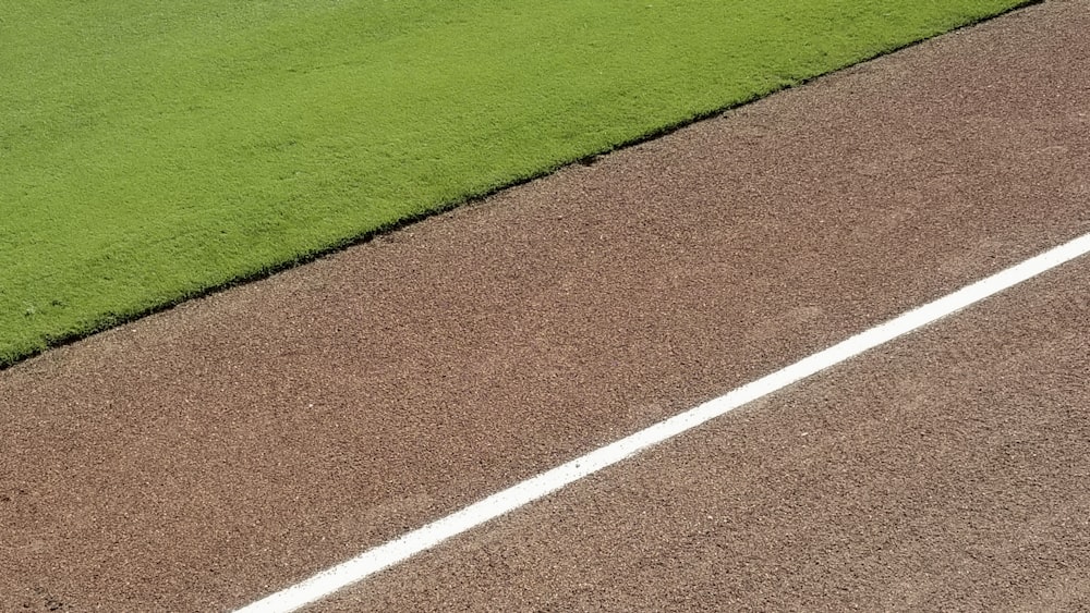 green grass field during daytime