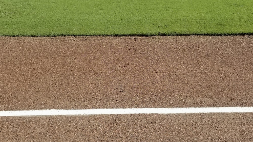 green grass field during daytime