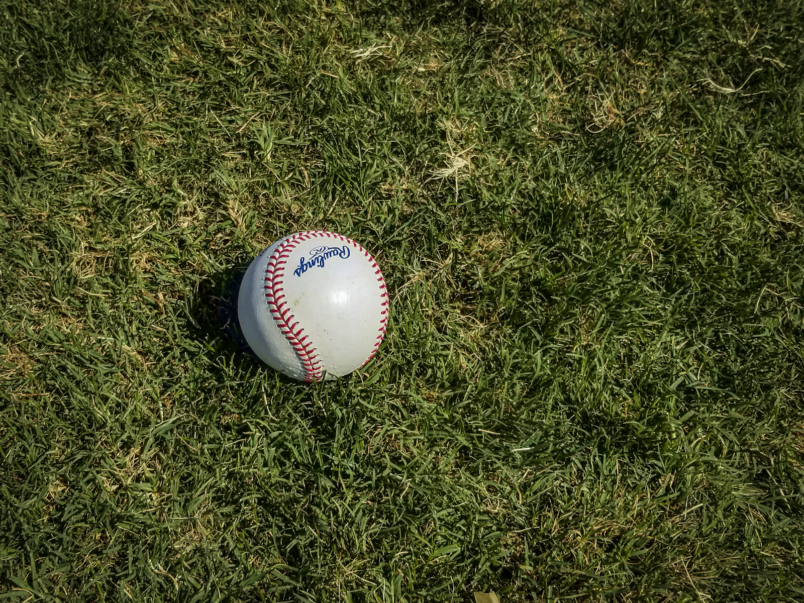 Balle de baseball posée sur l’herbe verte du terrain.