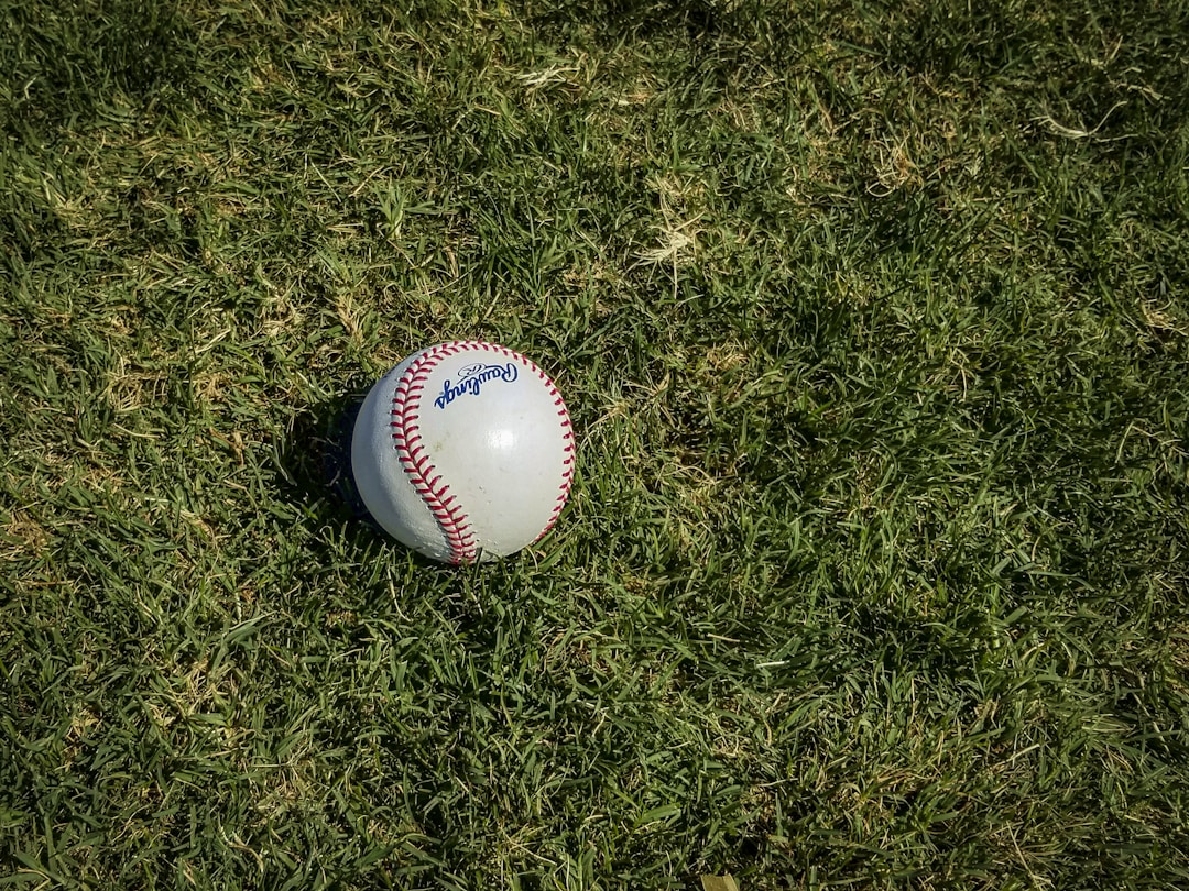 Cheer on the Great Lakes Loons at Dow Diamond