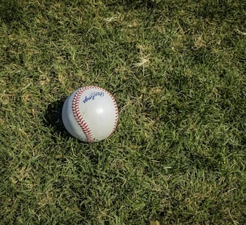 Jackals, white and red baseball on green grass, Roadrunners, Parisi, Yankees