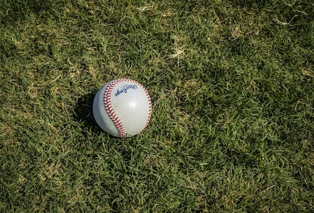 Jackals, white and red baseball on green grass, Roadrunners, Parisi, Yankees