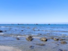 people on beach during daytime
