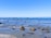 people on beach during daytime