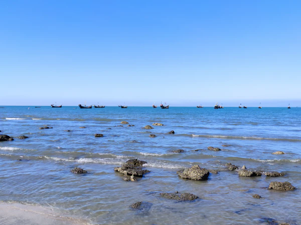 امريكانو بارد