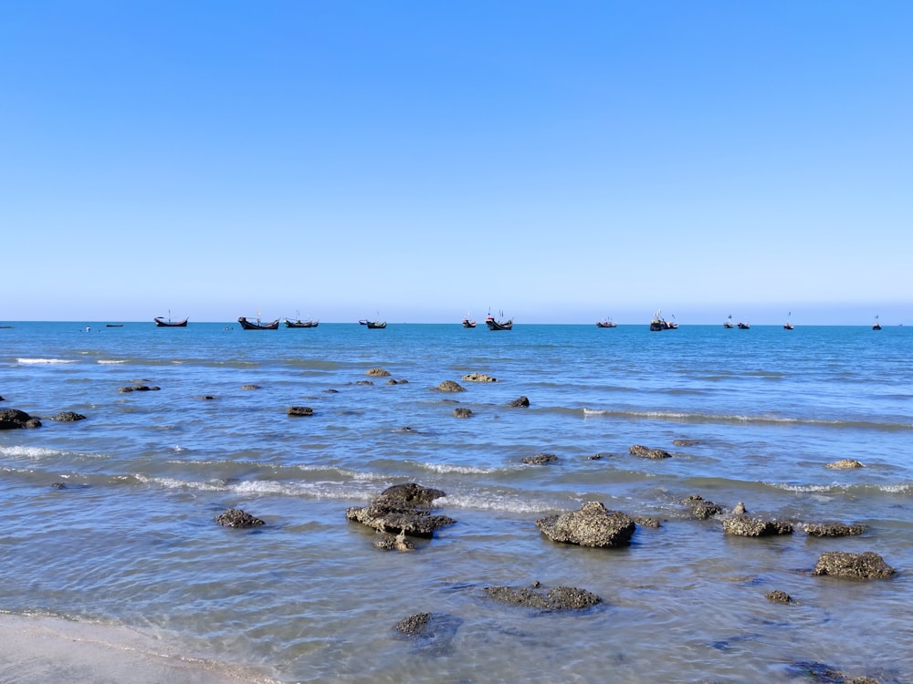 people on beach during daytime