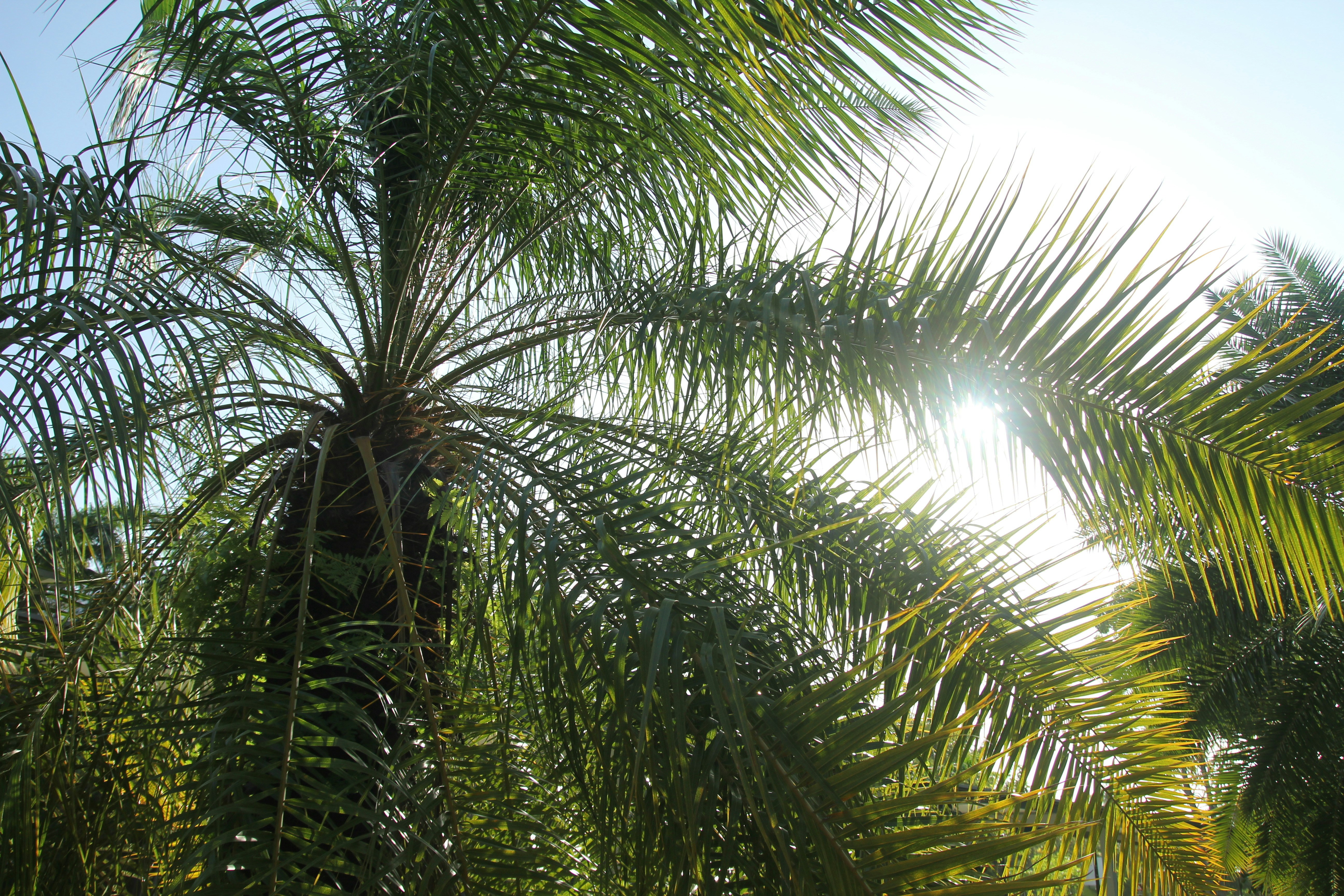 Photo by newmanphotog